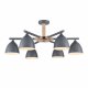 Потолочная люстра Lumion Colange 8096/6C. 