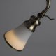 Потолочный светильник Arte Lamp Vento A9231PL-5AB. 
