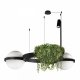 Подвесной светодиодный светильник Loft IT Jardin 10121/2. 