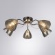 Потолочная люстра Arte Lamp Lily A4366PL-5BK. 