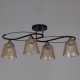 Потолочная люстра Reluce 06087-0.3-04 BK+FG. 
