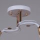 Потолочная люстра Reluce 06104-0.3-02 WH+FG. 