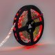 Лента светодиодная Eleganz LUX EL-LS-14RGB. 