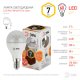 Лампочка светодиодная  LED P45-7W-827-E14-Clear. 