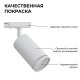 Светильник на штанге Apeyron Electrics  16-77. 
