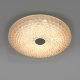 Потолочный светильник Arco Iii 225530. 