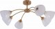 Потолочная люстра Rivoli Debra 9189-306. 