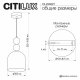 Подвесной светильник Citilux TENDY CL244021. 