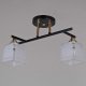 Потолочная люстра Reluce 46460-0.3-02 BK+FG. 