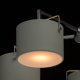 Потолочная люстра MW-Light Сайрус 1 721010308. 