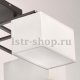 Потолочная люстра MW-Light Прато 3 101011308. 